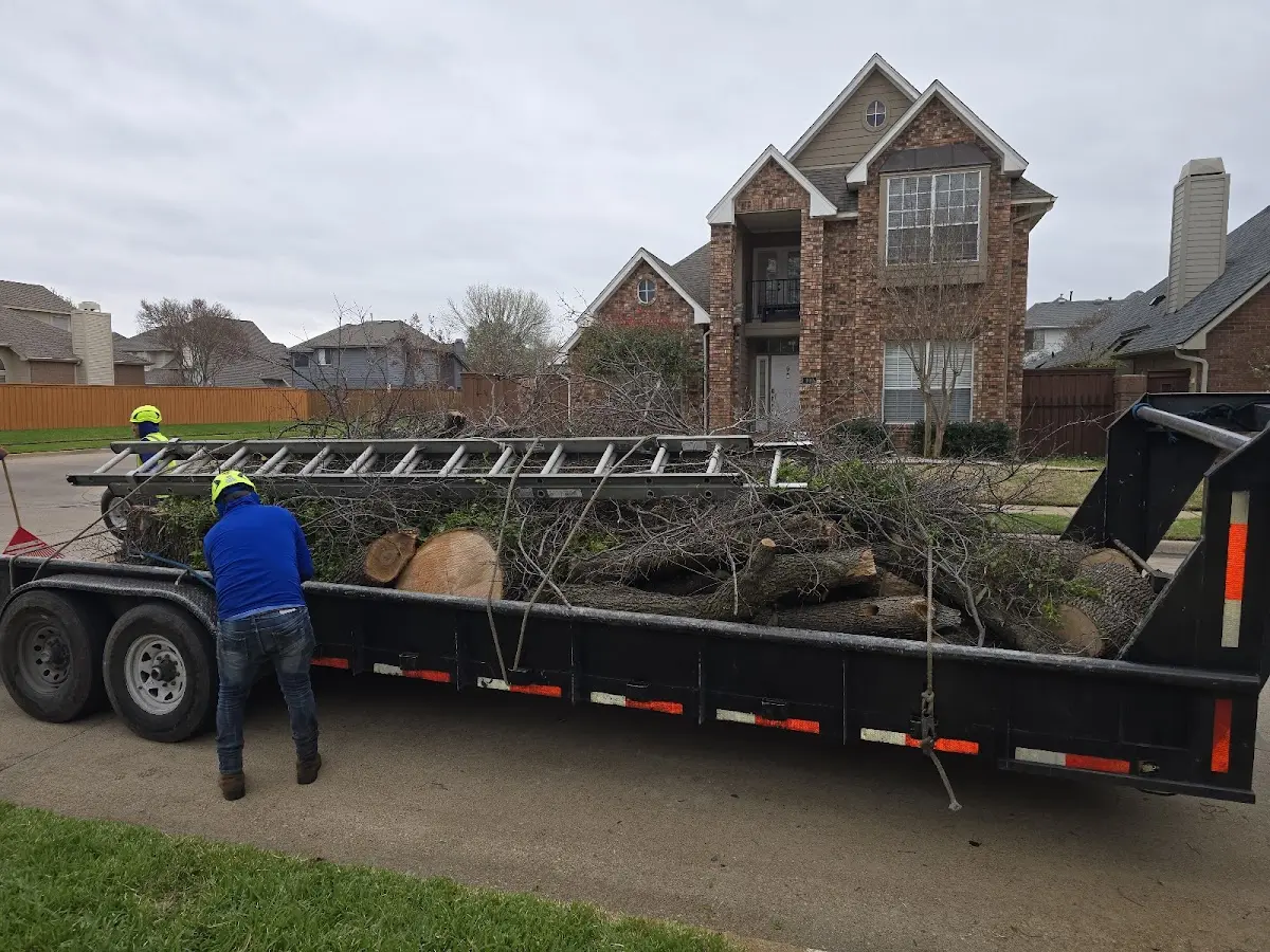 Expert Tree Pest Control with proper safety equipment in Hanover